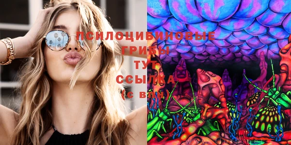 метамфетамин Туринск