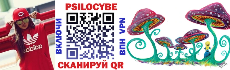 Псилоцибиновые грибы Psilocybine cubensis  Бирюч 